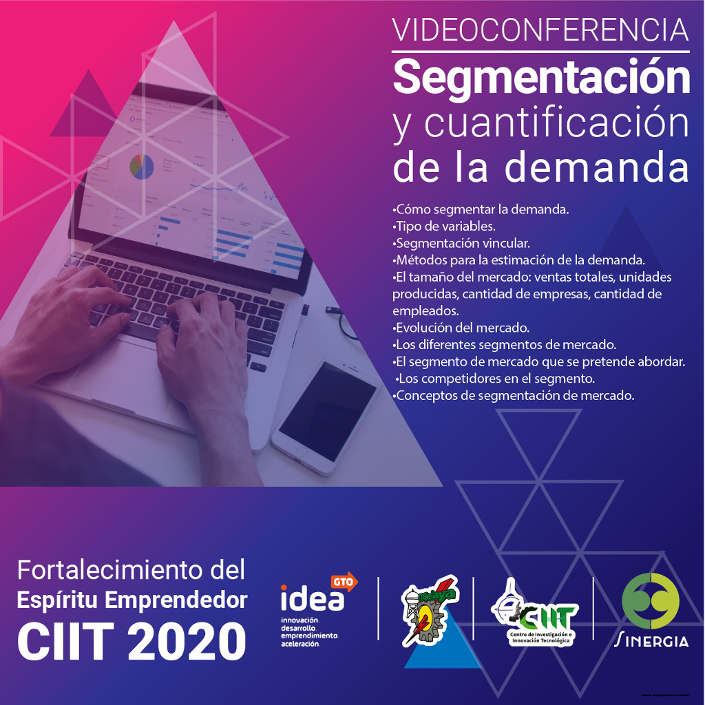 Segmentación y cuantificación de la demanda